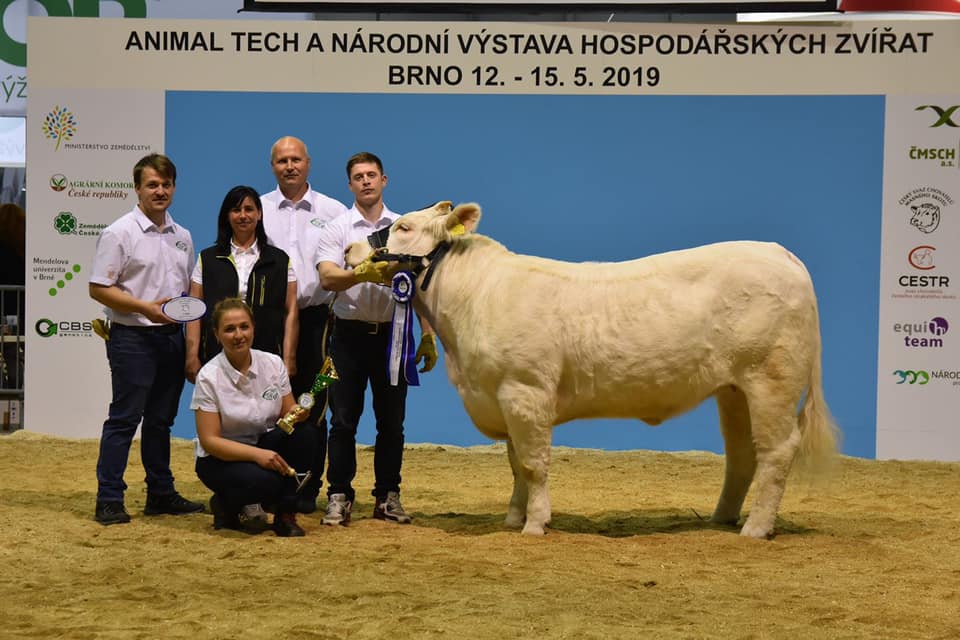 Redu Charolais